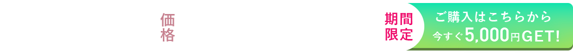 BISARA 価格29.700円（税込）期間限定　ご購入はこちら　今すぐ5.000円GET！